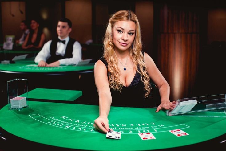 Expert Casino Live Casino